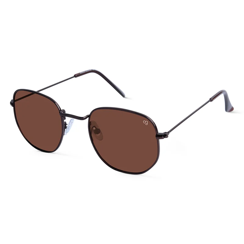 Woggles Brown Polarized Hexagonal Sunglasses