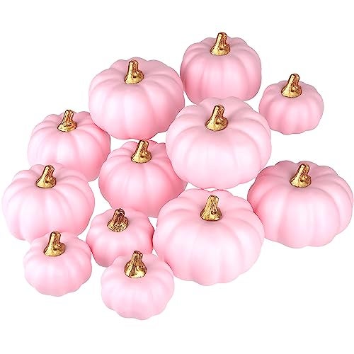 Artmag Artificial Pumpkins Bulk 12Pcs Assorted Sizes Harvest Lifelike Pumpkin Fake Foam Pumpkin for Fall Autumn Halloween Home Party Thanksgiving Party Holiday Decor Pink - Image 1