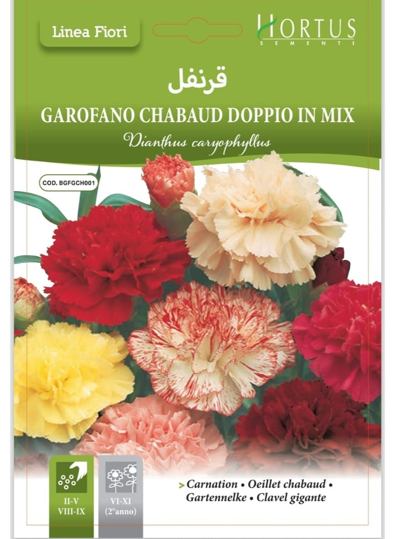Carnation Seeds