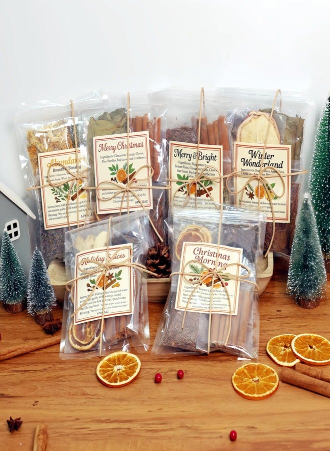 Apragaz 6 Packs Simmer Pot Mix,Holiday Potpourri Simmer Pot with Christmas Morning,Winter Wonderland, Merry & Bright, Merry Christmas,Holiday Spices,Abundance Potpourri for Xmas Fall Winter House Warming Gift - Image 1