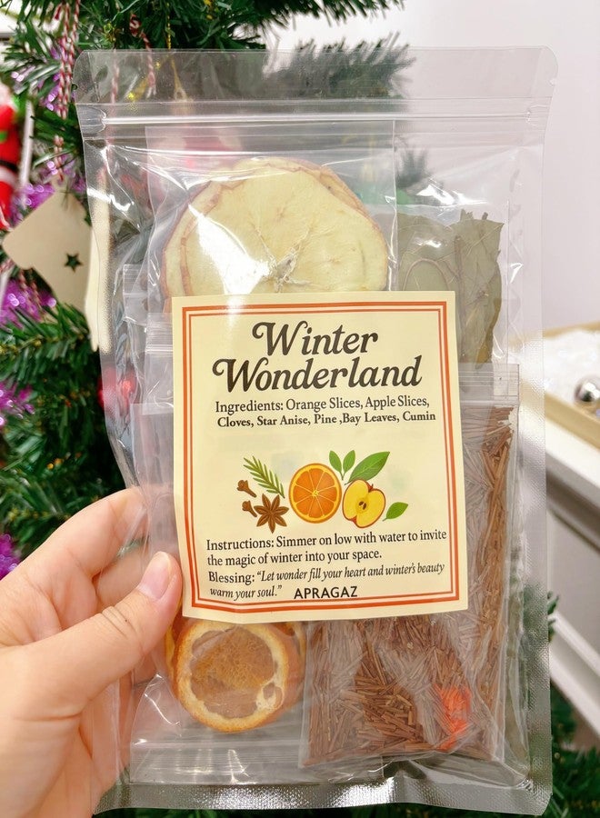 Apragaz 6 Packs Simmer Pot Mix,Holiday Potpourri Simmer Pot with Christmas Morning,Winter Wonderland, Merry & Bright, Merry Christmas,Holiday Spices,Abundance Potpourri for Xmas Fall Winter House Warming Gift - Image 5