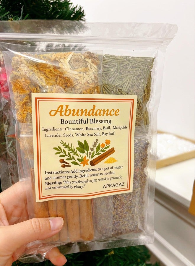 Apragaz 6 Packs Simmer Pot Mix,Holiday Potpourri Simmer Pot with Christmas Morning,Winter Wonderland, Merry & Bright, Merry Christmas,Holiday Spices,Abundance Potpourri for Xmas Fall Winter House Warming Gift - Image 2