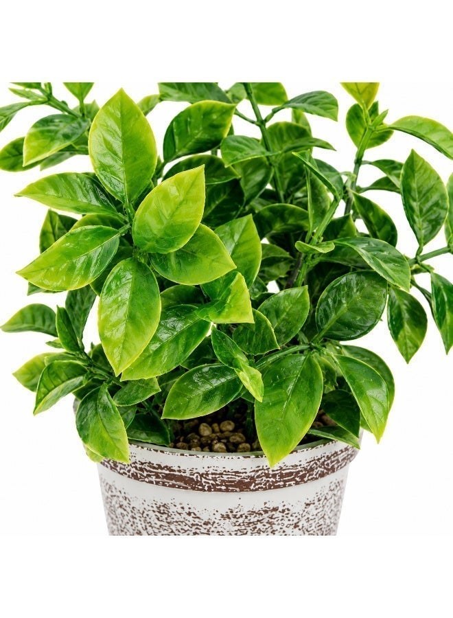 Vintage Artificial Plant in Pot 23 cm – Decorative Faux Green Plant for Desk, Shelf, Living Room, Office, Bathroom & Home Décor - Image 3