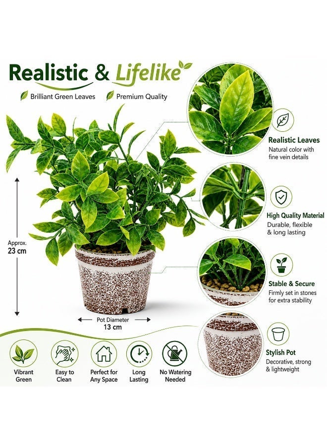 Vintage Artificial Plant in Pot 23 cm – Decorative Faux Green Plant for Desk, Shelf, Living Room, Office, Bathroom & Home Décor - Image 2