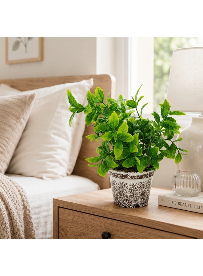 Vintage Artificial Plant in Pot 23 cm – Decorative Faux Green Plant for Desk, Shelf, Living Room, Office, Bathroom & Home Décor - Image 5