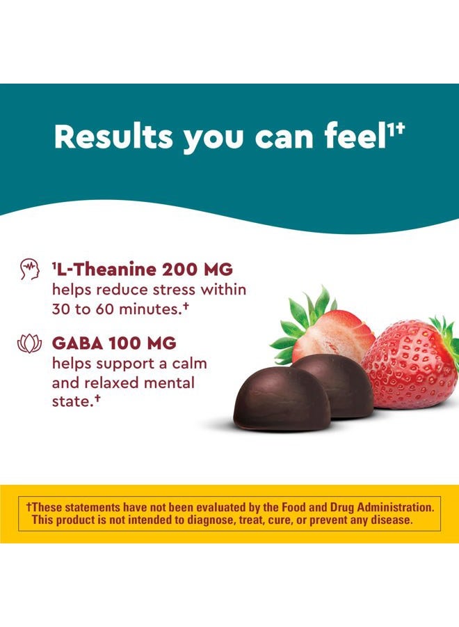 Nature Made Wellblends Stress Relief, Strawberry Flavors, 40 Gummies - Image 4