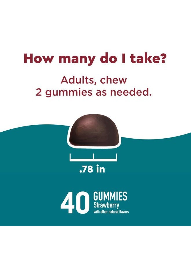 Nature Made Wellblends Stress Relief, Strawberry Flavors, 40 Gummies - Image 5