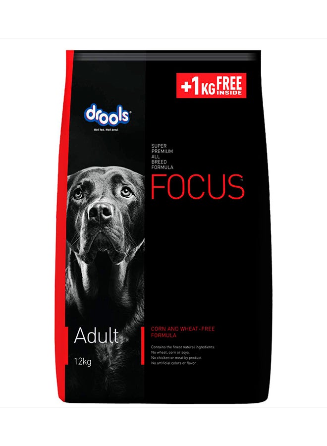 Drools Focus Premiun Adult Dry Dog Food  Chicken 12Kg+ 1Kg  - Image 1