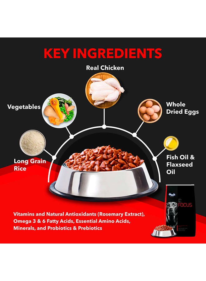 Drools Focus Premiun Adult Dry Dog Food  Chicken 12Kg+ 1Kg  - Image 3