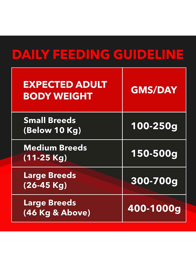 Drools طعام جاف للكلاب البالغة من فوكوس بريميوم - دجاج - Image 5