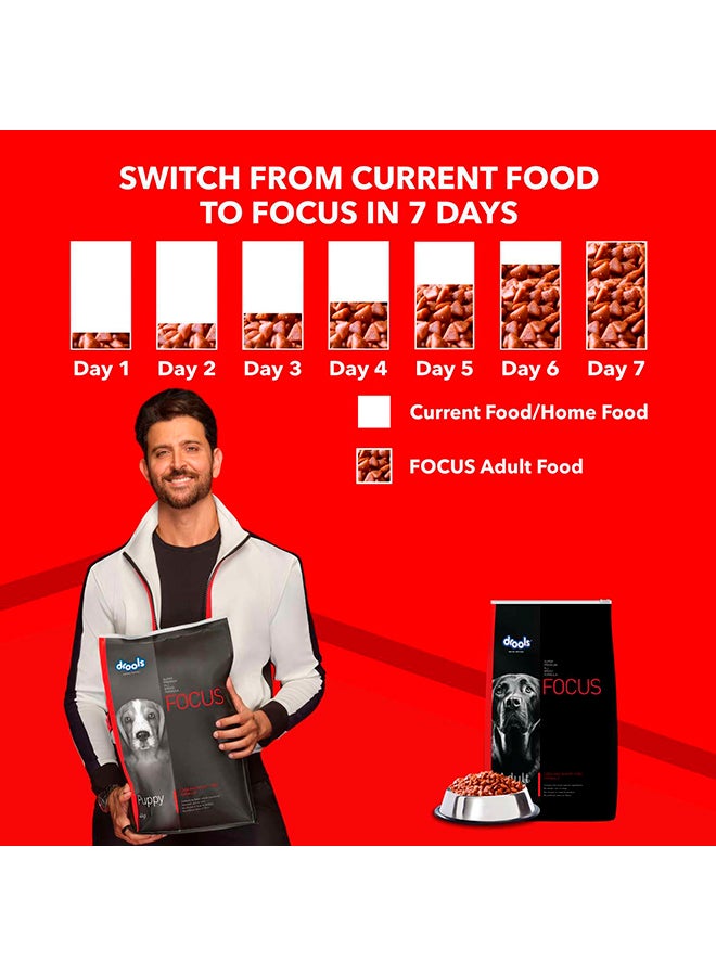 Drools طعام جاف للكلاب البالغة من فوكوس بريميوم - دجاج - Image 4