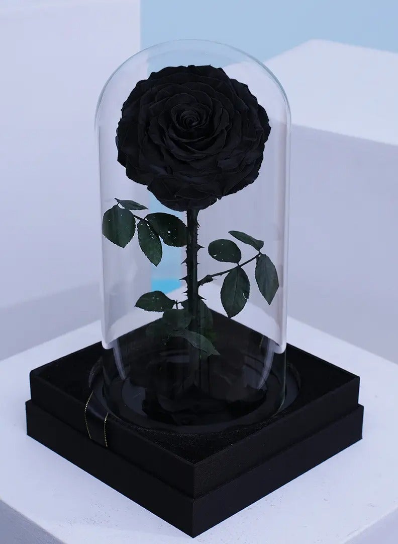 BYYU Forever Black Rose