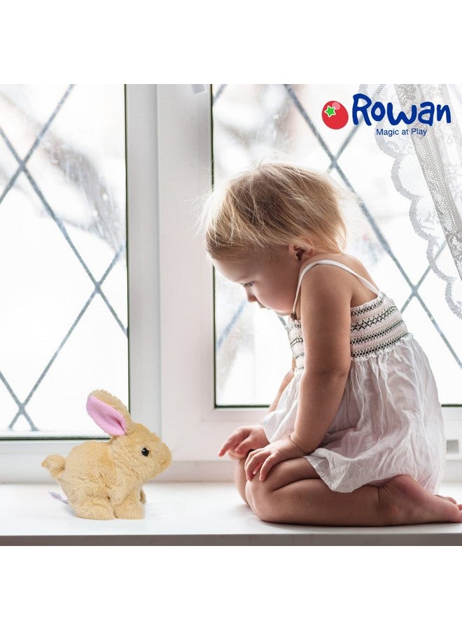 روان أرنب روان كوكيز القافز سهل الاستخدام، ناعم ومحبب، يحسن التنسيق بين اليد والعين، مثالي للأطفال الصغار والأطفال - Image 4