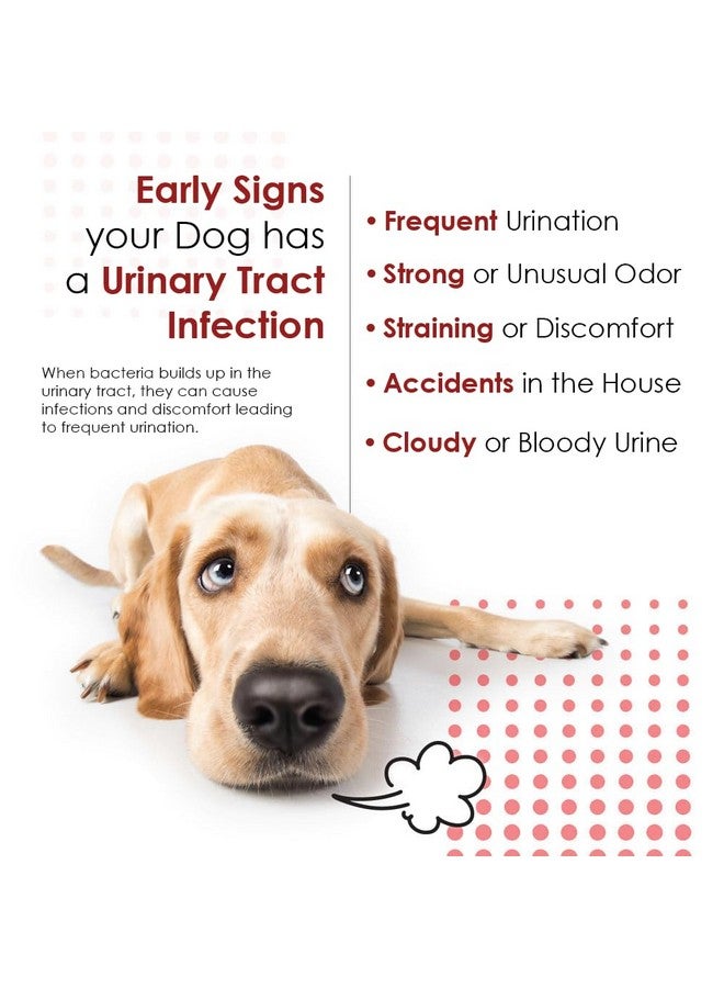 Pet Health Solutions Cranberry D-Mannose Urinary Tract Support Supplement for Cats and Dogs - Cranberry Extract, D-Mannose, Vitamin C - Bladder and UTI Treatment - Made in USA - 120 Soft Chews - Image 2