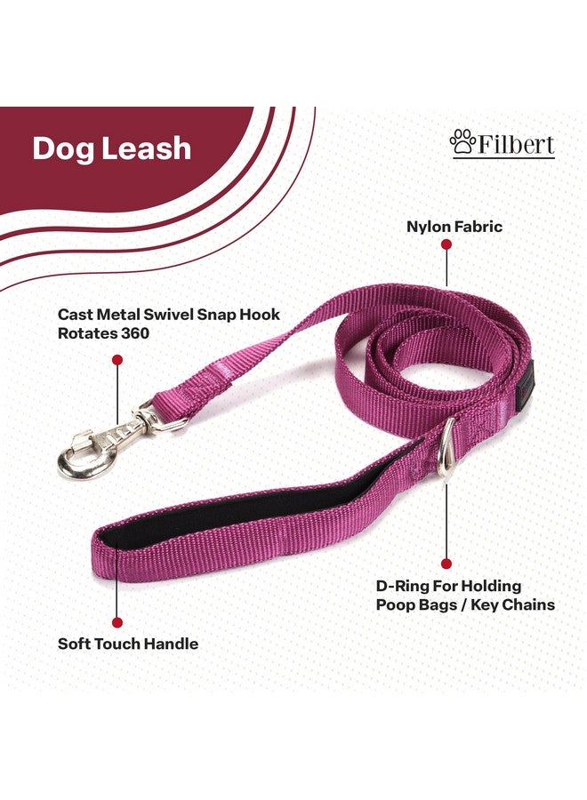 Filbert Nylon Dog Leash, Heavy Duty Leash, for Medium and Small Dogs, 3/4 inch X 4.6ft Strong and Durable, Traction Rope, Red - Image 2