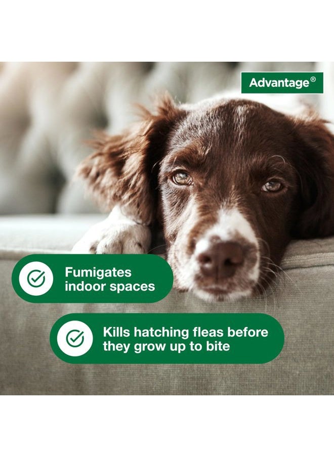 Advantage Household Fogger | Kills Fleas & Ticks | Flea Fogger for Home | 2 oz. Canisters (Pack of 3)  - Image 5