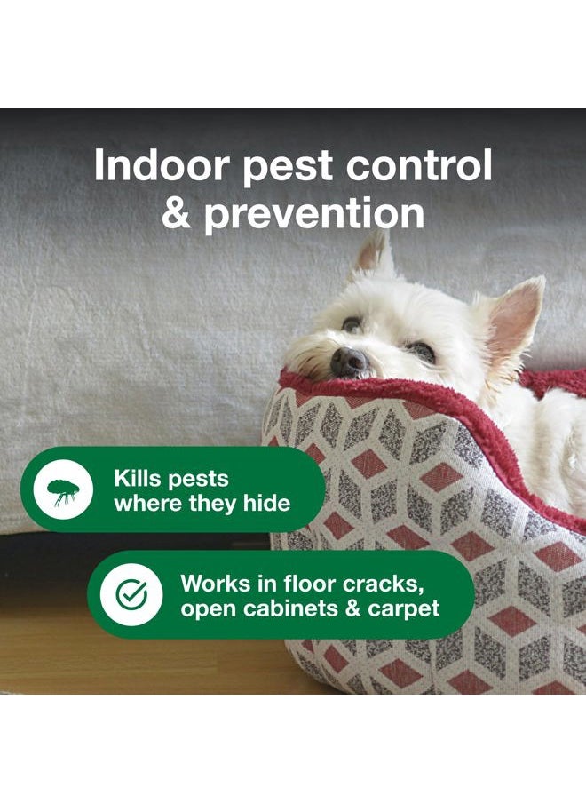 Advantage - Household Fogger | Kills Fleas & Ticks | Flea Fogger for Home | 2 oz. Canisters (Pack of 3) - Image 1