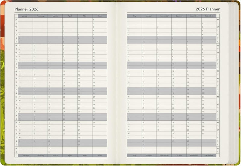 Collins - Bella Ramsay Cat - 2026 12 Month Calendar Year Planner, Week-To-View Diary, A5 Hard Cover - Picnic (E-CA153.PC-26) - Image 5
