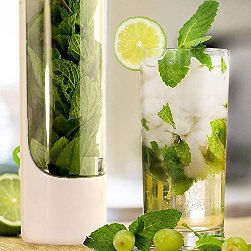 LUPINEZ Herb Saver Pod For Fridge | Herb Storage Containers | Fresh Herb Keeper for Refrigerator | Fresh Herbs Saver Keep Your Greens Fresh Longer For Coriander, Mint, Parsley, Cilantro & More (2 PCS) - Image 5