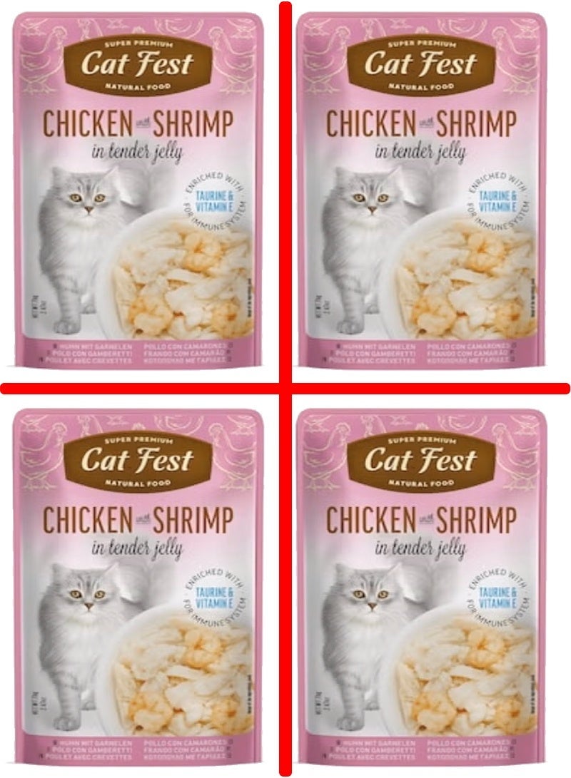 Cat Fest Chicken with Shrimp in Tender Jelly Cat Food Pouch - 4 Pouch, each pouch size 70g - Image 1