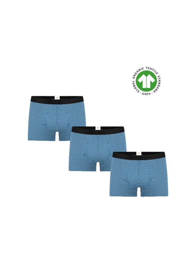 ALBERO NATUR 3P2121-123 Men's Organic Cotton Trunk Shorts - Image 1