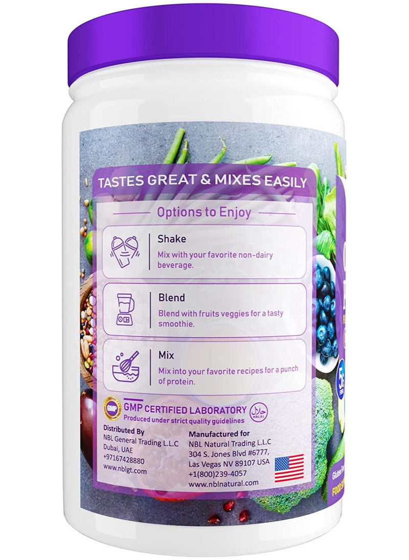 NBL Natural - NBL Natural Plant Based Organic Protein Powder, Vegan, Non-Dairy, Gluten Free, Lactose Free, No Sugar Added, Creamy Chocolate Fudge, 2.2 lb, 25 Servings - Image 1
