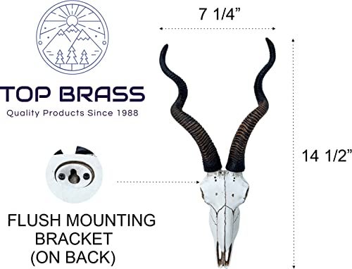 Top Brass 14 12 African Kudu Antelope Skull Wall Mount Head Rustic Safari Decor - Image 3