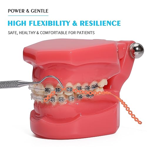 ANNWAH Dental Colorful Orthodontic Braces Rubber Chains,Dental Rubber Chains for Braces Power Chains for Orthodontic Treatment(Short,Orange 7) - Image 2