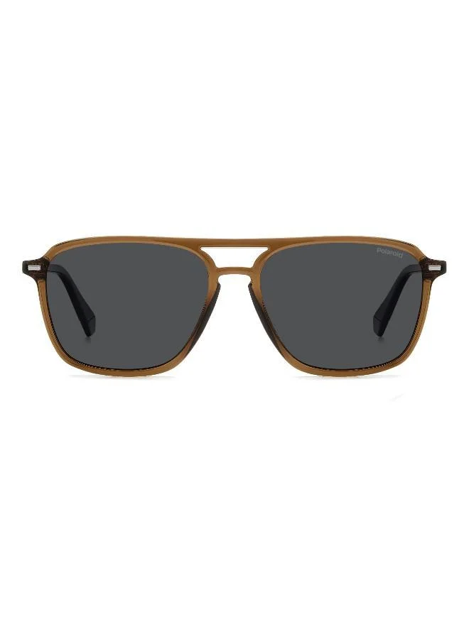 Polaroid Wayfarers Sunglasses