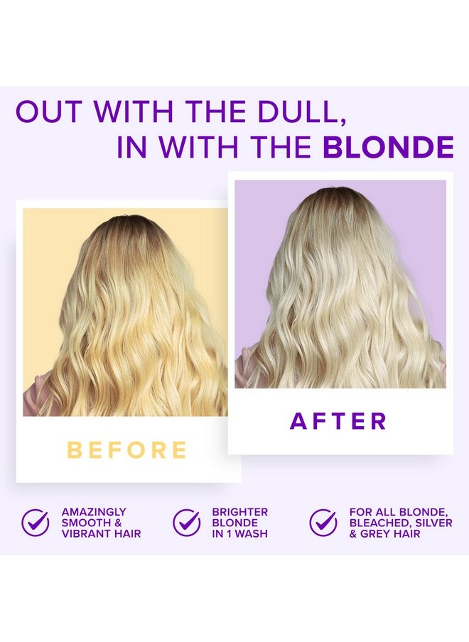 NYK1 - No More Brass Purple Shampoo And Conditioner Set (2 X 16.9 Fl Oz) Sulfate Free Purple Shampoo For Blondes And Purple Conditioner - Blonde Shampoo And Conditioner Set To Eliminate Yellow Brassy Tones - Image 1