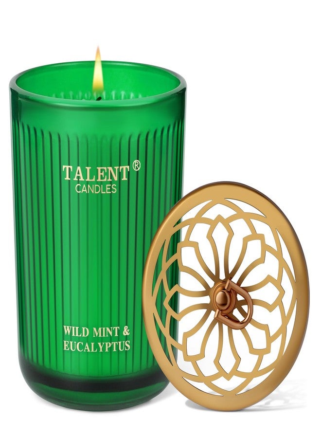 Talent Jar Candles for Home Scented, Aromatherapy Candles Gifts for Women & Men, Natural Soy Candle, 8.4oz Traditional Style, Wild Mint & Eucalyptus - Image 1