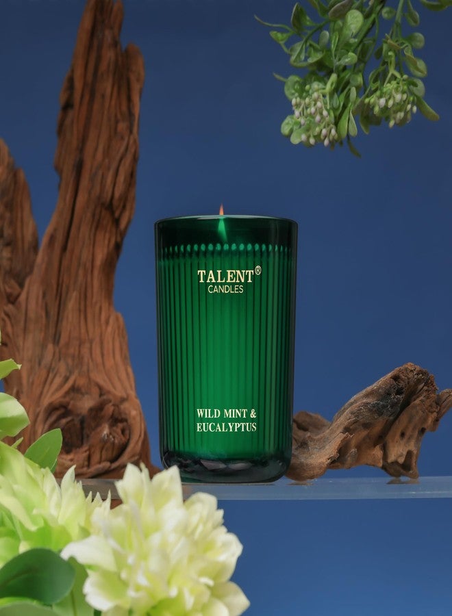Talent Jar Candles for Home Scented, Aromatherapy Candles Gifts for Women & Men, Natural Soy Candle, 8.4oz Traditional Style, Wild Mint & Eucalyptus - Image 5
