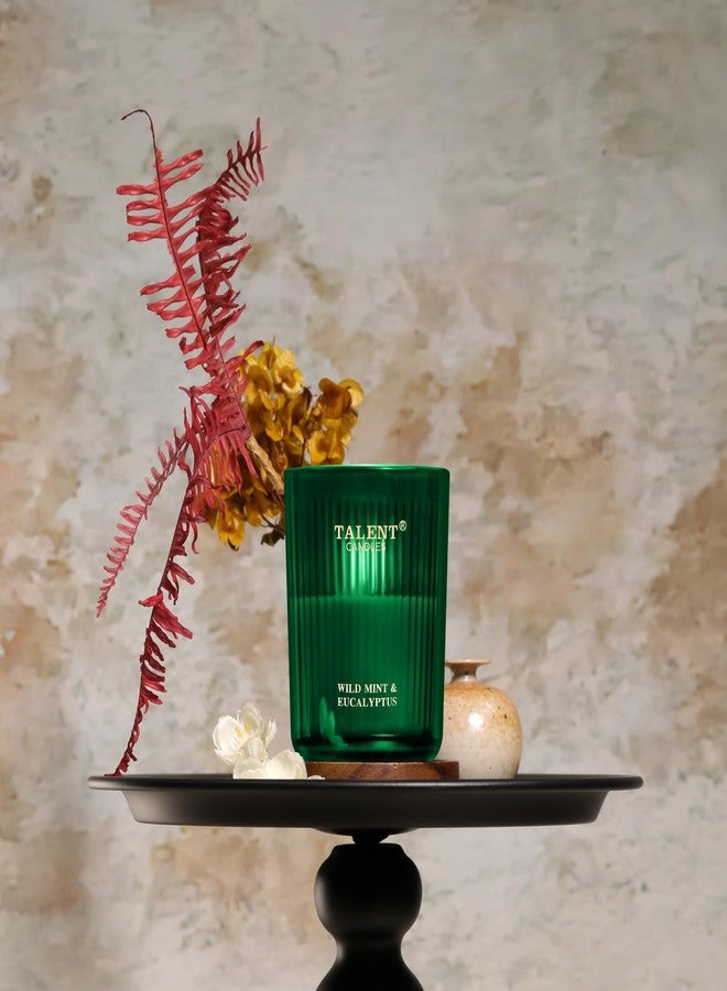 Talent Jar Candles for Home Scented, Aromatherapy Candles Gifts for Women & Men, Natural Soy Candle, 8.4oz Traditional Style, Wild Mint & Eucalyptus - Image 2