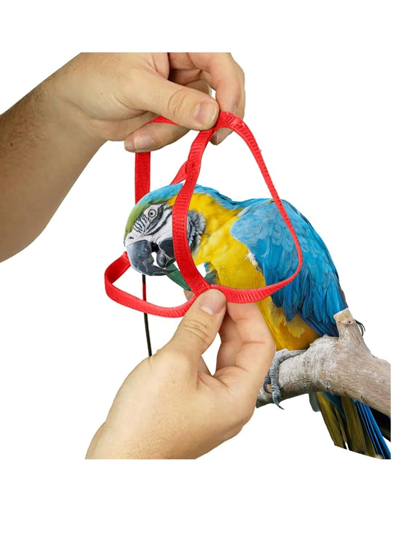 كاست ويف حزام الأمان للطيور - تدريب الطيارين ضد عض الطيور - Image 3