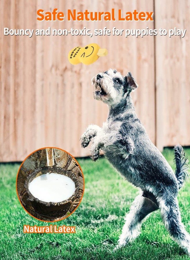 SCHITEC Squeaky Dog Toy, [4 Pack] Natural Latex Rubber Interactive Toys for Small Dogs Puppies - Image 4