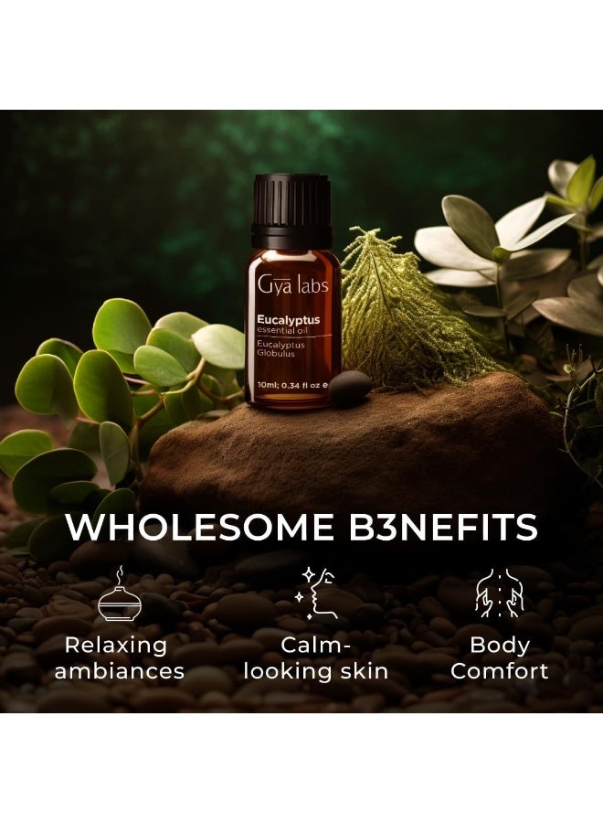Gya Labs Eucalyptus Essential Oil (10ml) - Eucalyptus Oil Essential Oils for Diffuser, Skin, Humidifier, Sinus & Hair - Image 4
