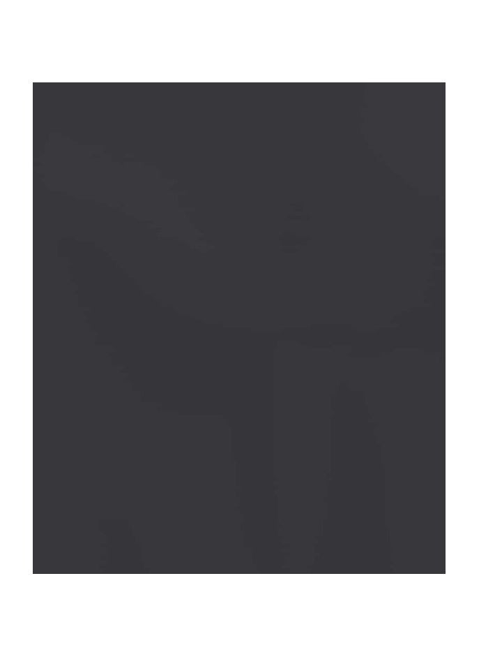 RIT Rit All-Purpose Liquid Dye, Graphite  - Image 3