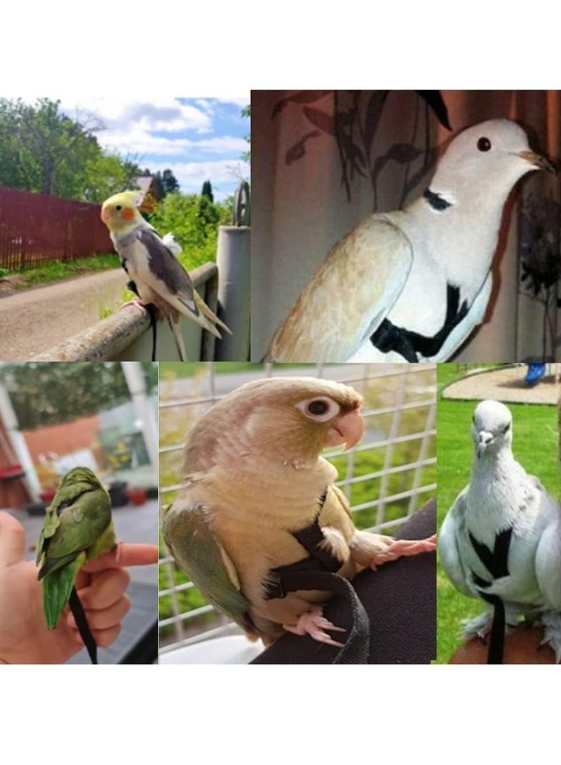 Adjustable Birds Harness and Leash Parrot Harness Leash Training Supplies Pet Anti-bite Outdoor Flying Rope for Conures Budgerigar Lovebird Cockatiel Mynah (S, Black) - Image 5