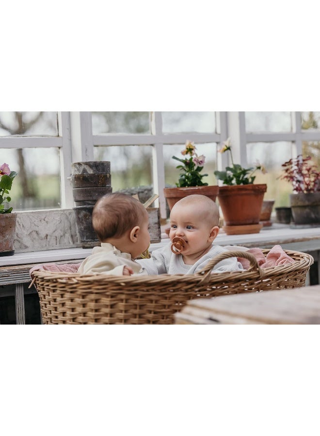 BIBS Colour Symmetrical Soother 2-Pack, BPA Free Dummy Pacifier, Symmetrical Natural Rubber Latex, Made in Denmark, Size 2 (6-18 Months), Island Sea/Forest Lake - Image 4