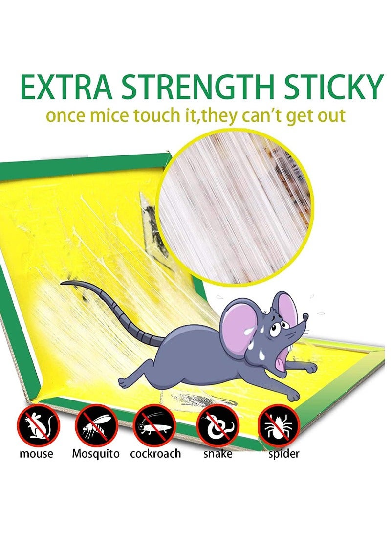 rocooart 6-Pack Mouse Rat Glue Trap, Strongly Adhesive Sticky Glue Traps for Mice, Mouse Sticky Traps - Image 2