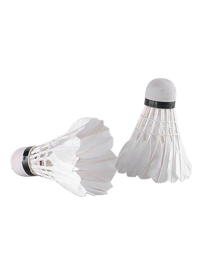 NIBEMINENT 12-Piece M10 Professional Badminton Shuttlecock Set 6.5x8cm - Image 2