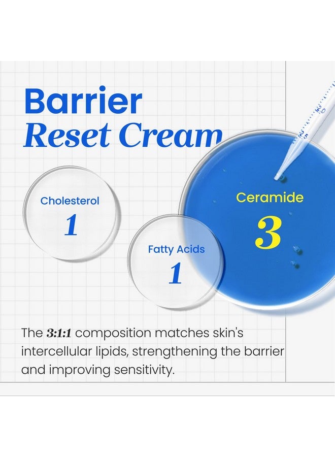 سي إن بي كريم CNP Barrier Reset - ترطيب عميق، تقوية حاجز البشرة، سيراميد، مناسب للبشرة الجافة والحساسة، العناية بالبشرة الكورية، 2.7 أونصة سائلة. - Image 3