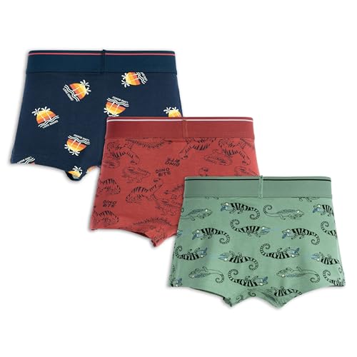 ARIEL Boys Cotton Boxers(Pack of 3)(AR-BT-P3-13-14_Years-S1-lizdinoaop), Multicolor - Image 2
