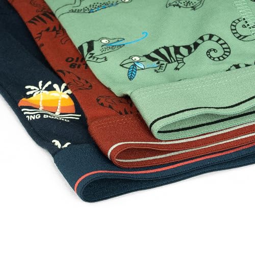 ARIEL Boys Cotton Boxers(Pack of 3)(AR-BT-P3-13-14_Years-S1-lizdinoaop), Multicolor - Image 5