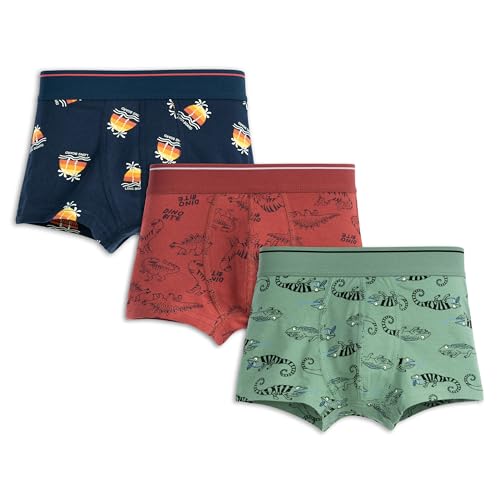 ARIEL Boys Cotton Boxers(Pack of 3)(AR-BT-P3-13-14_Years-S1-lizdinoaop), Multicolor - Image 1