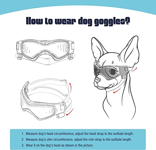 PETLESO Dog Goggles for Small Dogs with Helmet, 2PCS Doggy Sunglasses and Pet Motorcycle Helmet Set for Small Medium Breed Outdoor Driving Walking, Black - Image 5
