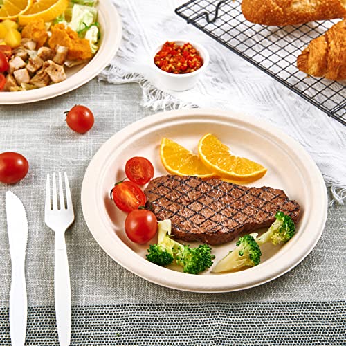 Vplus 150 Pack Paper Plates 9 inch 100% Compostable, Heavy-Duty Disposable Paper Plates Bagasse Natural Biodegradable Eco-Friendly Sugarcane - Image 4