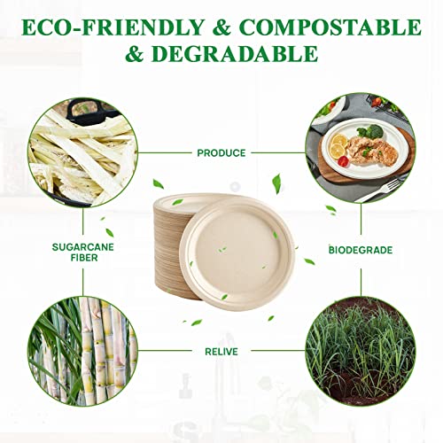 Vplus 150 Pack Paper Plates 9 inch 100% Compostable, Heavy-Duty Disposable Paper Plates Bagasse Natural Biodegradable Eco-Friendly Sugarcane - Image 5
