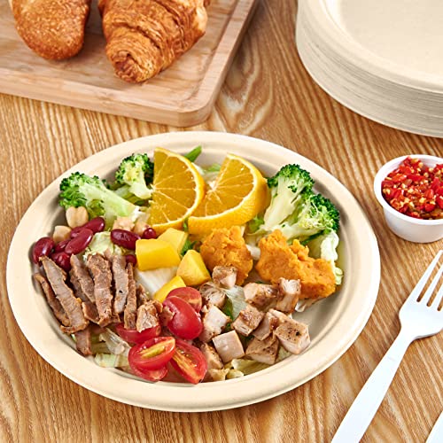Vplus 150 Pack Paper Plates 9 inch 100% Compostable, Heavy-Duty Disposable Paper Plates Bagasse Natural Biodegradable Eco-Friendly Sugarcane - Image 2