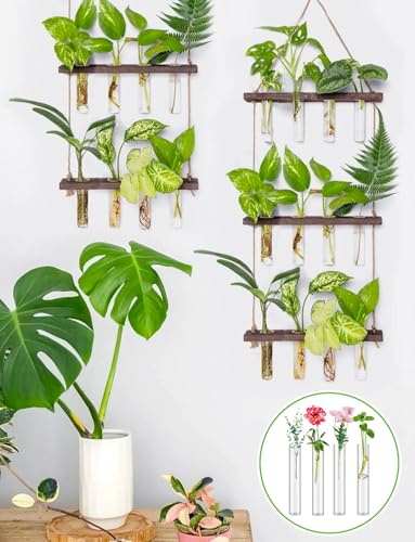 XGHSHW 8 Tube Glass Plant Propagation Stations Clear Glass Test Tubes Tiered Planters Accessories for Home Office Plant Hanger Flower Vases Wall Decor Hydroponic Cuttings Clear Vases - Image 5